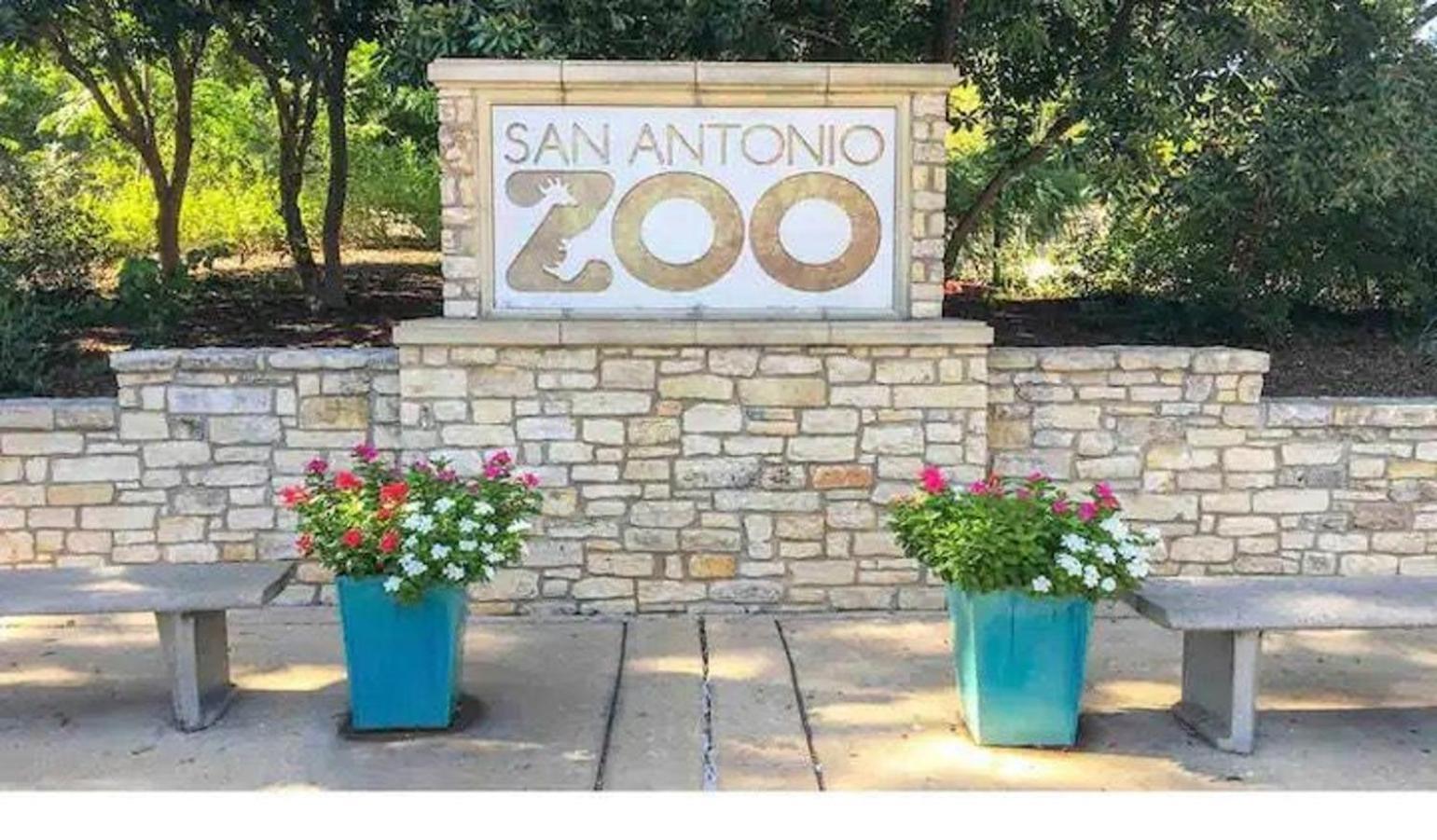 Private Hot Tub3Bd2Ba 2 Miles To Sa River Walk San Antonio Exteriör bild